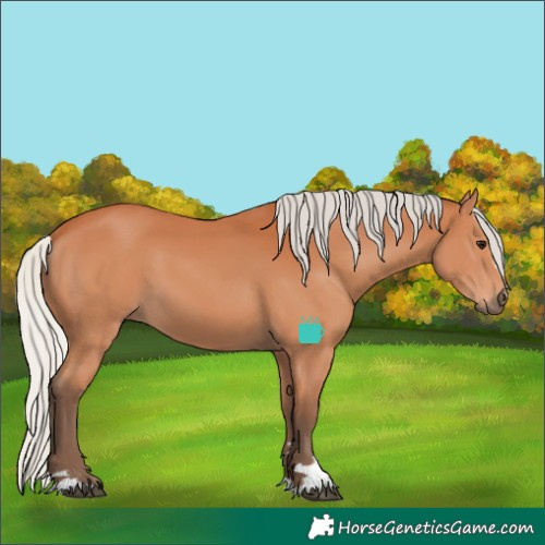 Horse Color:Silver Bay