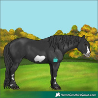 Horse Color:Black Frame 