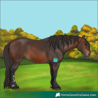 Horse Color:Brown 