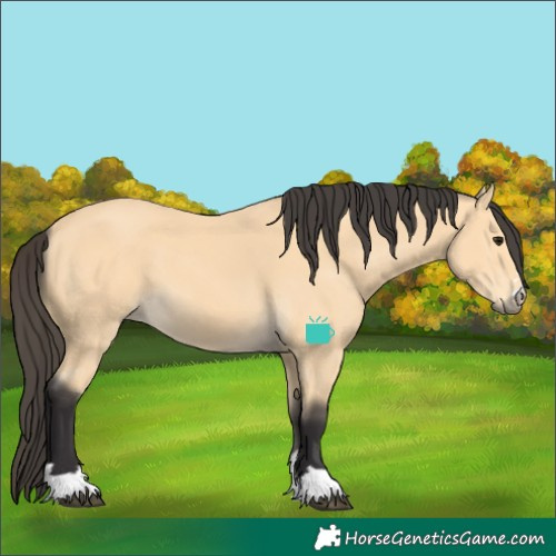 Horse Color:Buckskin