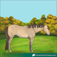Horse Color:Amber Cream Champagne