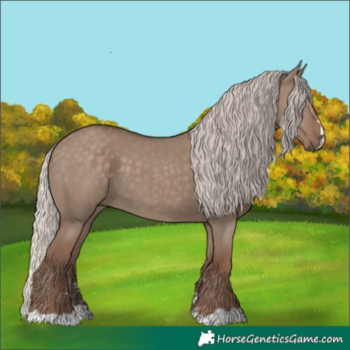 Horse Color:Silver Grullo 