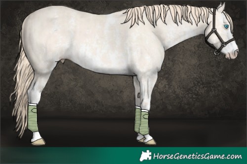 Horse Color:Smoky Creme Dun Sabino  and Perlino Dun Sabino 