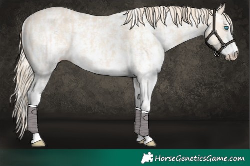 Horse Color:Perlino Sabino  and Perlino Sabino 