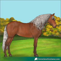 Horse Color:Silver Bay