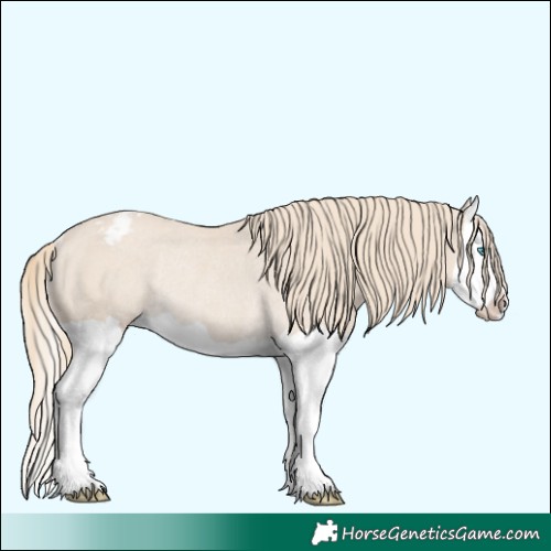 Horse Color:Smoky Creme Splash Varnish Rabicano 