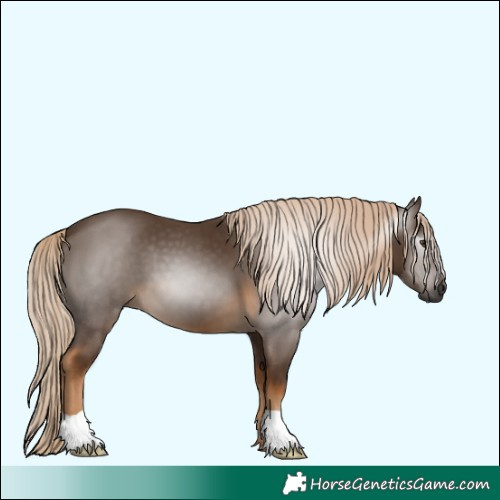 Horse Color:Gray Chocolate Palomino 