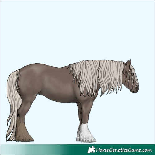 Horse Color:Silver Smoky Black 