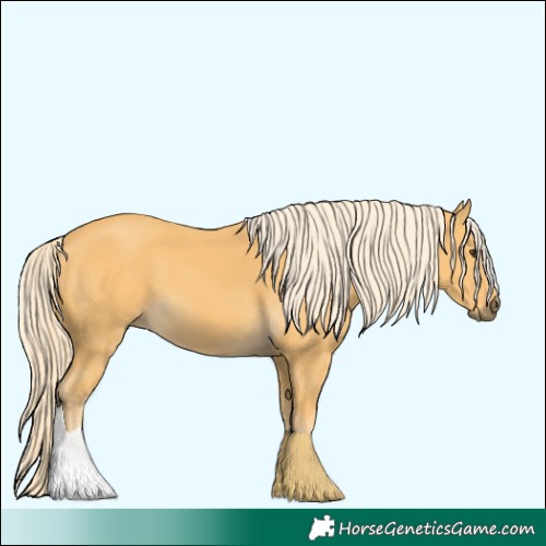 Horse Color:Palomino 