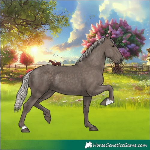 Horse Color:Silver Black