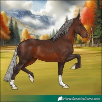 Horse Color:Silver Brown