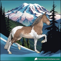 Horse Color:Silver Brown Dun Tobiano