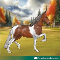 Horse Color:Silver Bay Tobiano