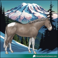 Horse Color:Silver Grullo Splash Tobiano 