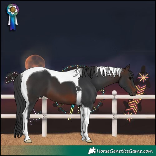 Horse Color:Brown Tobiano 