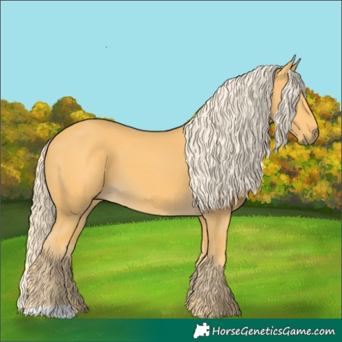 Horse Color:Palomino 