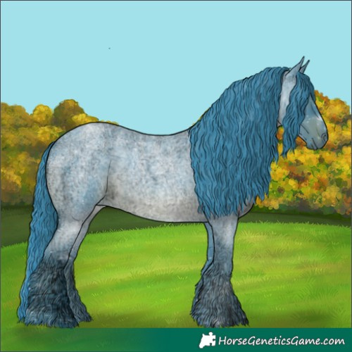 Horse Color:Watercolor Blue Ice Roan 