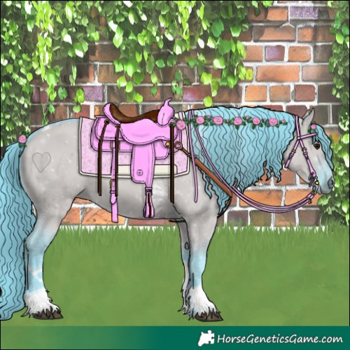 Horse Color:Watercolor Grullo Tobiano 