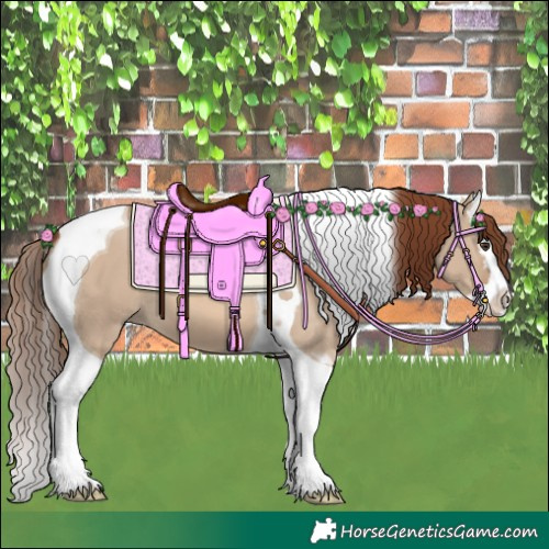 Horse Color:Red Dun Splash Tobiano 