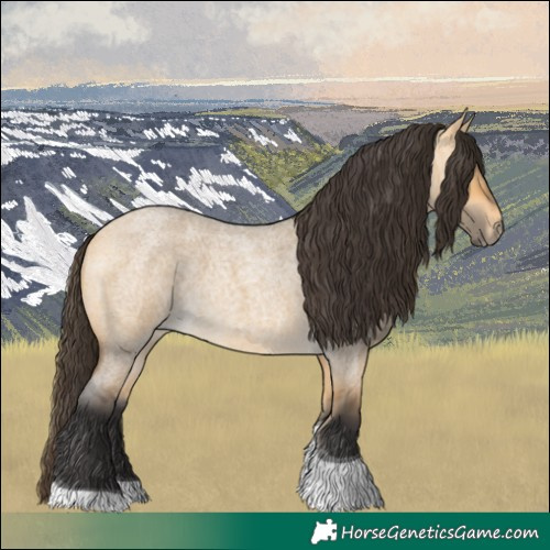 Horse Color:Buckskin Roan Dun Tobiano