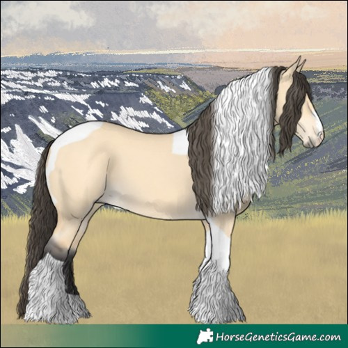 Horse Color:Buckskin Dun Tobiano 
