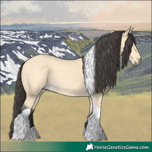Horse Color:Buckskin Dun Tobiano 
