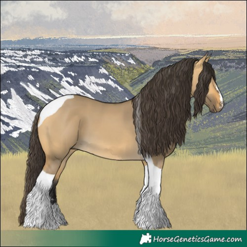Horse Color:Buckskin Dun Tobiano 