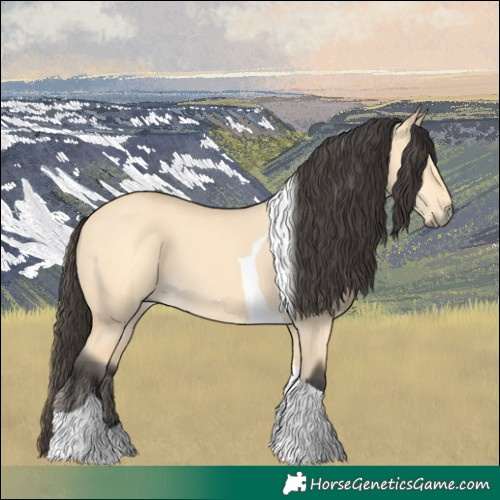 Horse Color:Buckskin Dun Tobiano 