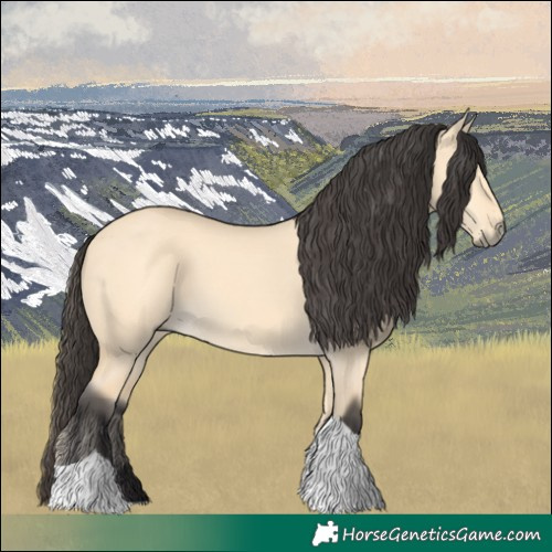 Horse Color:Buckskin Dun Tobiano 