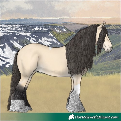 Horse Color:Buckskin Dun Tobiano 
