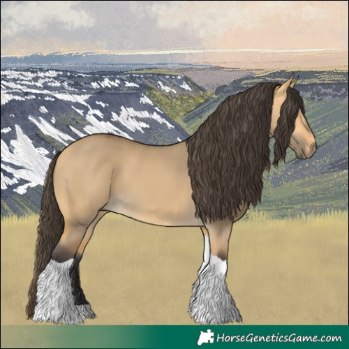Horse Color:Buckskin Dun Tobiano 