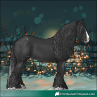 Horse Color:Black Splash Varnish 