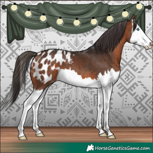 Horse Color:Brown Splash Blanket 