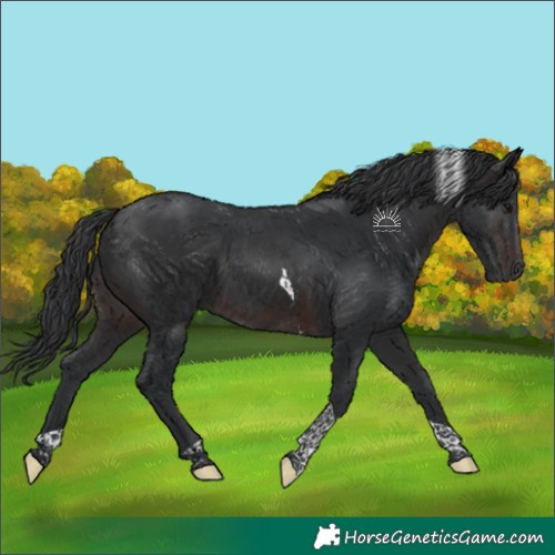 Horse Color:Brown Tobiano 