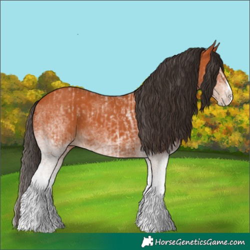 Horse Color:White Spotted Bay Splash  and White Spotted Bay Splash 