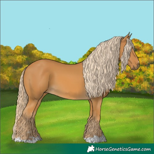 Horse Color:Palomino 