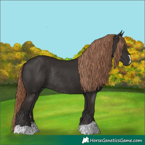 Horse Color:Liver Chestnut Rabicano
