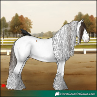 Horse Color:White Spotted Bay Splash Fewspot