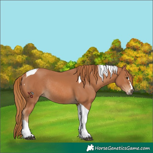 Horse Color:Unknown 
