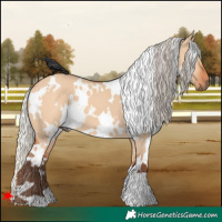 Horse Color:White Spotted Silver Bay Dun 