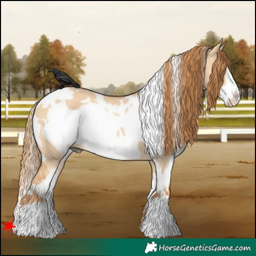 Horse Color:White Spotted Red Dun Frame 