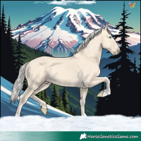 Horse Color:Cremello
