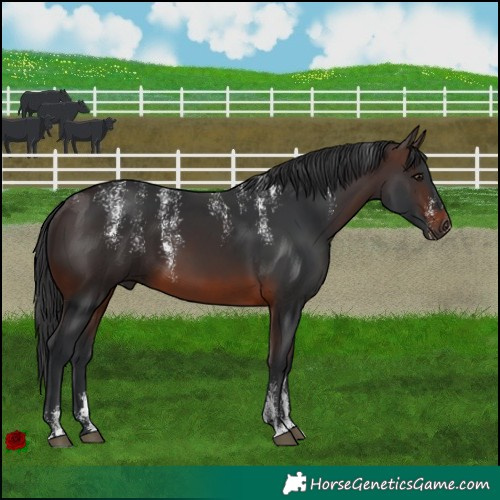 Horse Color:Powder White Brown 