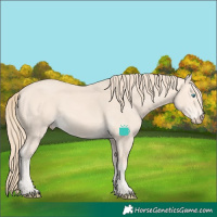 Horse Color:Perlino