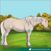 Horse Color:Cremello 