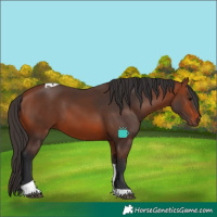Horse Color:Bay Tobiano 