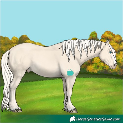 Horse Color:Cremello 