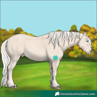 Horse Color:Cremello 