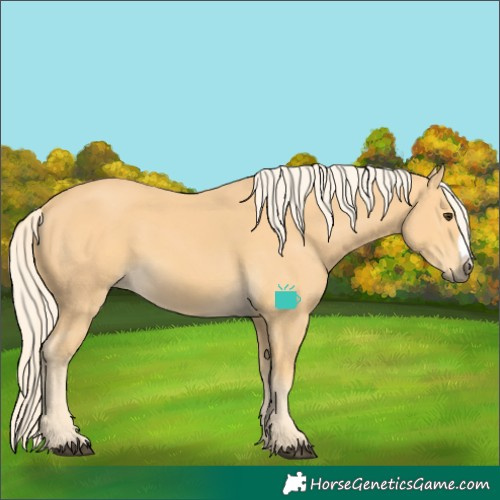 Horse Color:Palomino Frame
