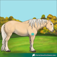 Horse Color:Palomino Frame 